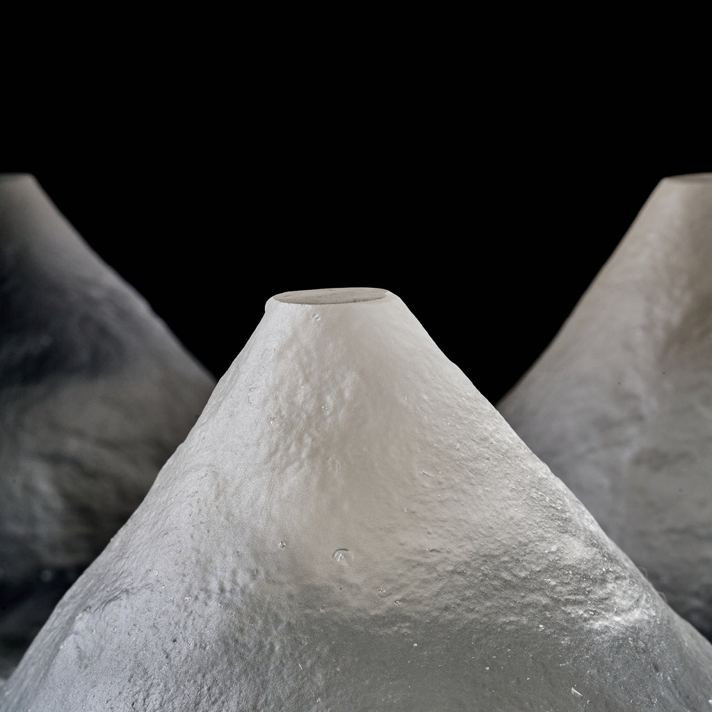 Naoya Arakawa Large Jurassic Platter