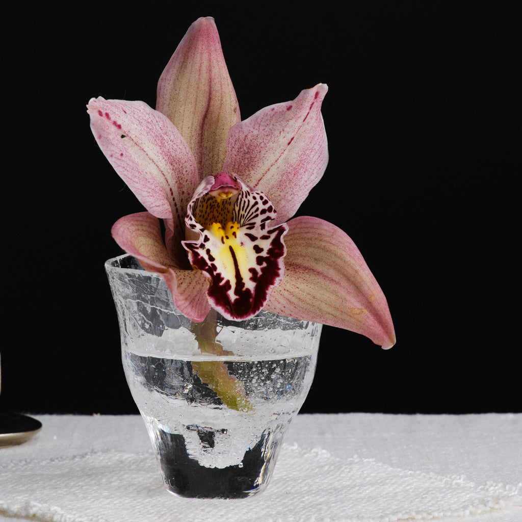 Naoya Arakawa Asahi Cordial Sake Glass