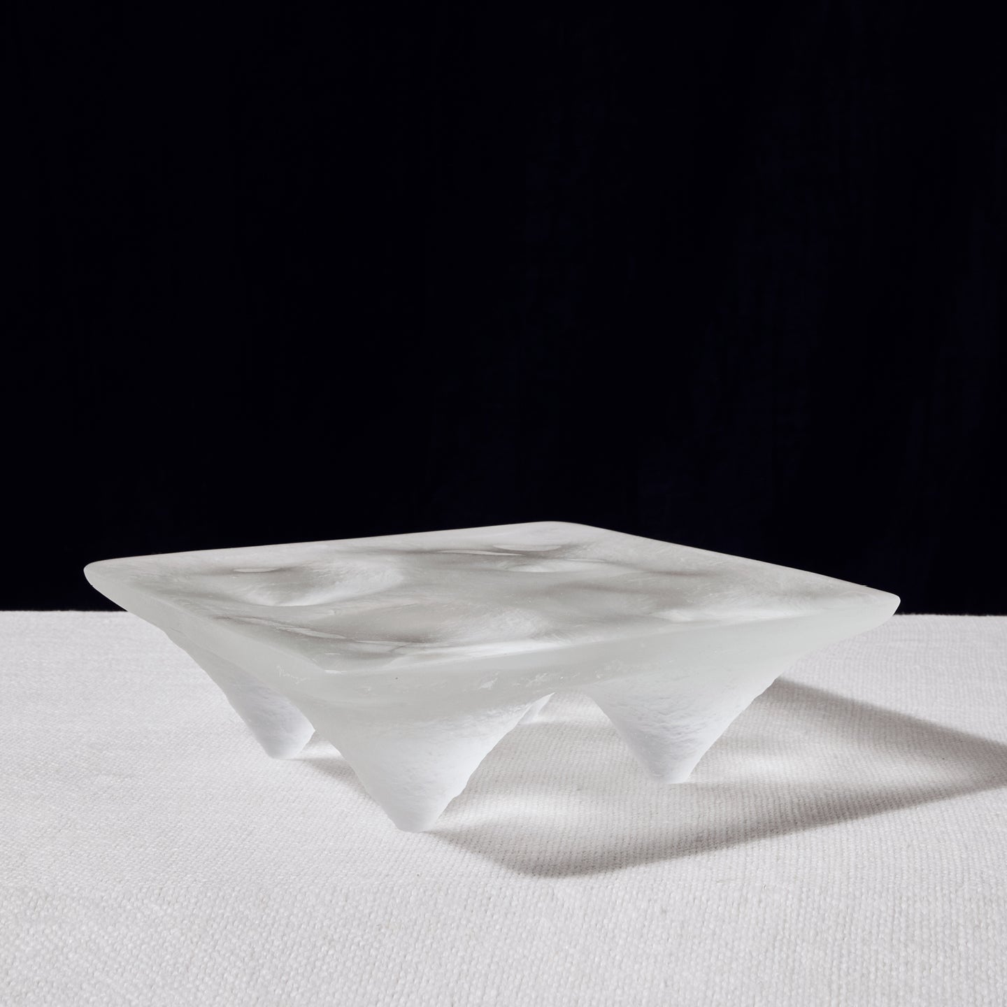 Naoya Arakawa Large Jurassic Platter