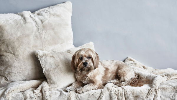 Rex Pillow | Luxe Fur Throw Pillow | Roman & Williams Guild